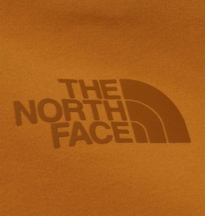 大きいサイズ メンズ THE NORTH FACE (ザ・ノース・フェイス) トリクライメイト 3WAYジャケット プリント