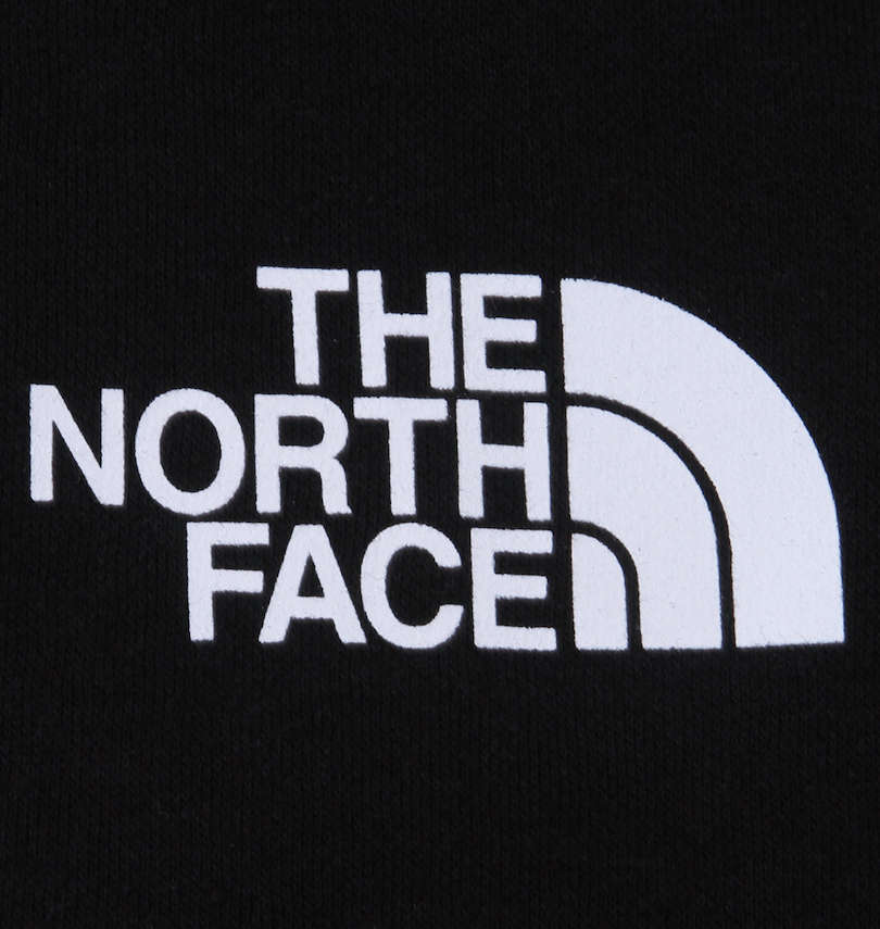 大きいサイズ メンズ THE NORTH FACE (ザ・ノース・フェイス) プルパーカー フロントプリント