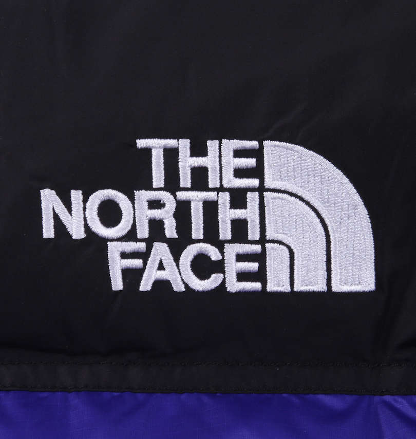 大きいサイズ メンズ THE NORTH FACE (ザ・ノース・フェイス) レトロヌプシジャケット 刺繍