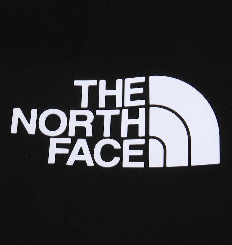 大きいサイズ メンズ THE NORTH FACE (ザ・ノース・フェイス) ダウンジャケット プリント拡大