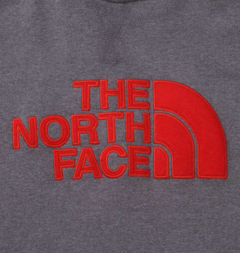 大きいサイズ メンズ THE NORTH FACE (ザ・ノース・フェイス) プルパーカー ワッペン