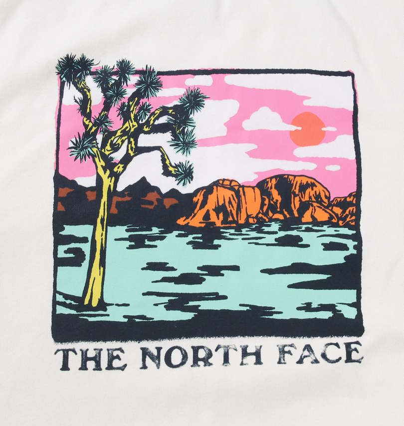 大きいサイズ メンズ THE NORTH FACE (ザ・ノース・フェイス) クルートレーナー 