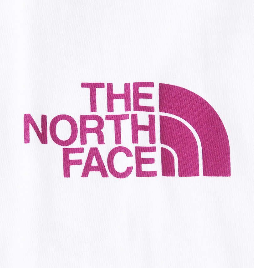 大きいサイズ メンズ THE NORTH FACE (ザ・ノース・フェイス) 半袖Tシャツ フロントプリント