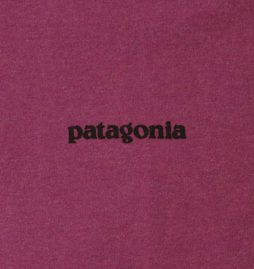 大きいサイズ メンズ PATAGONIA (パタゴニア) 半袖Tシャツ 