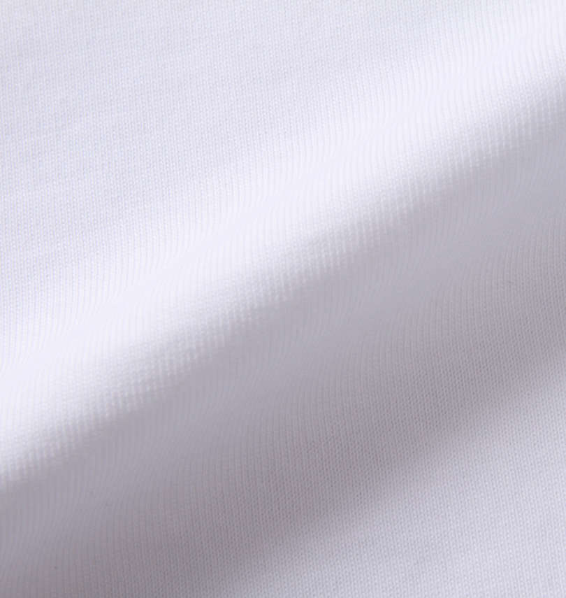 大きいサイズ メンズ PSYCHO BUNNY (サイコバニー) 半袖Tシャツ 生地拡大