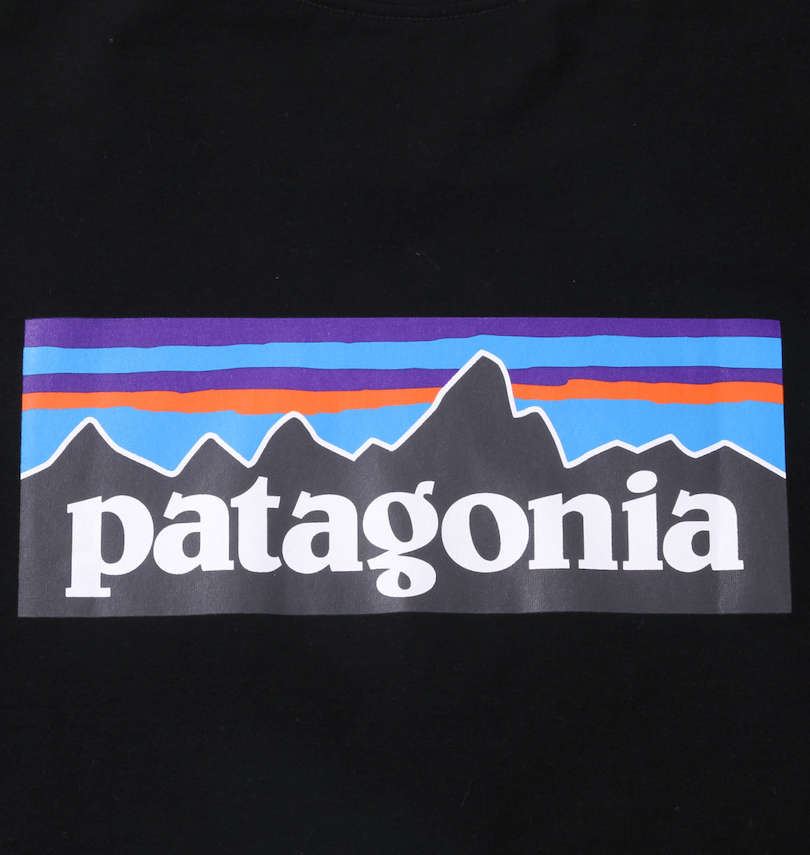 大きいサイズ メンズ PATAGONIA (パタゴニア) 半袖Tシャツ プリント拡大