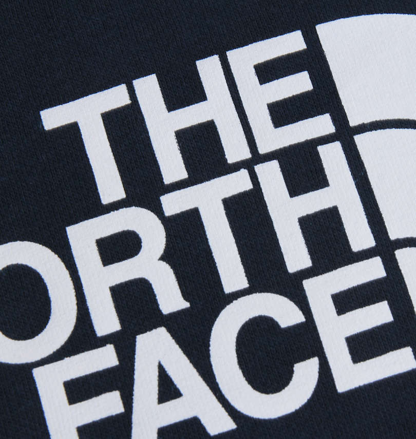 大きいサイズ メンズ THE NORTH FACE (ザ・ノース・フェイス) バックボックスロゴプルパーカー プリント拡大