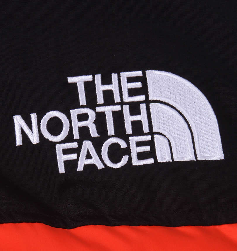 大きいサイズ メンズ THE NORTH FACE (ザ・ノース・フェイス) RETRO HIM ダウンパーカー 刺繍拡大