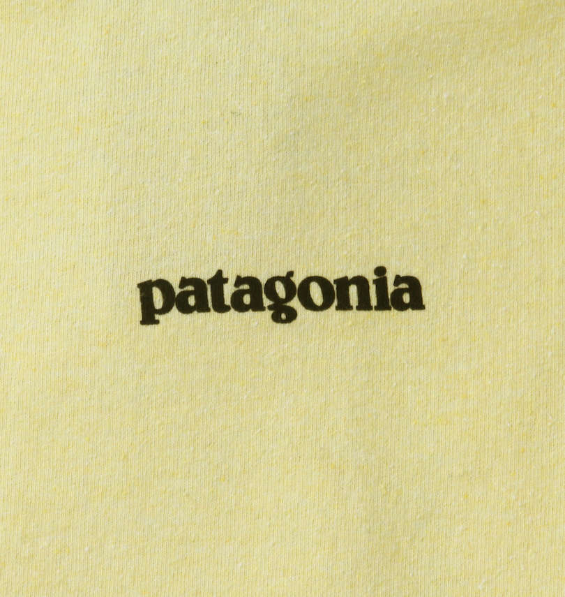 大きいサイズ メンズ PATAGONIA (パタゴニア) 半袖Tシャツ フロントプリント