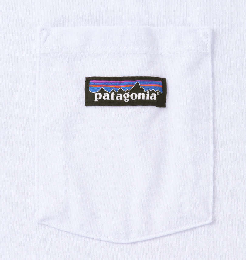 大きいサイズ メンズ PATAGONIA (パタゴニア) 半袖Tシャツ ポケット