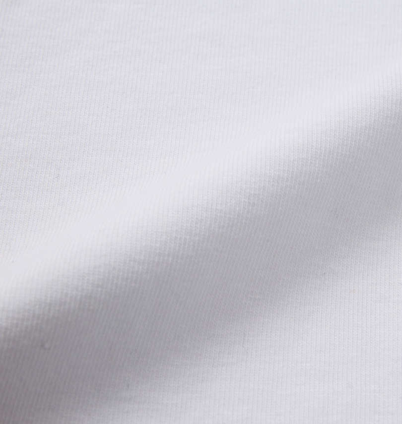 大きいサイズ メンズ GLADIATE (グラディエイト) ベア天竺ALL刺繍半袖ポロシャツ 生地拡大