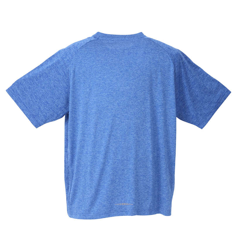 大きいサイズ メンズ Phiten (ファイテン) DRY杢×メッシュ半袖Tシャツ バックスタイル