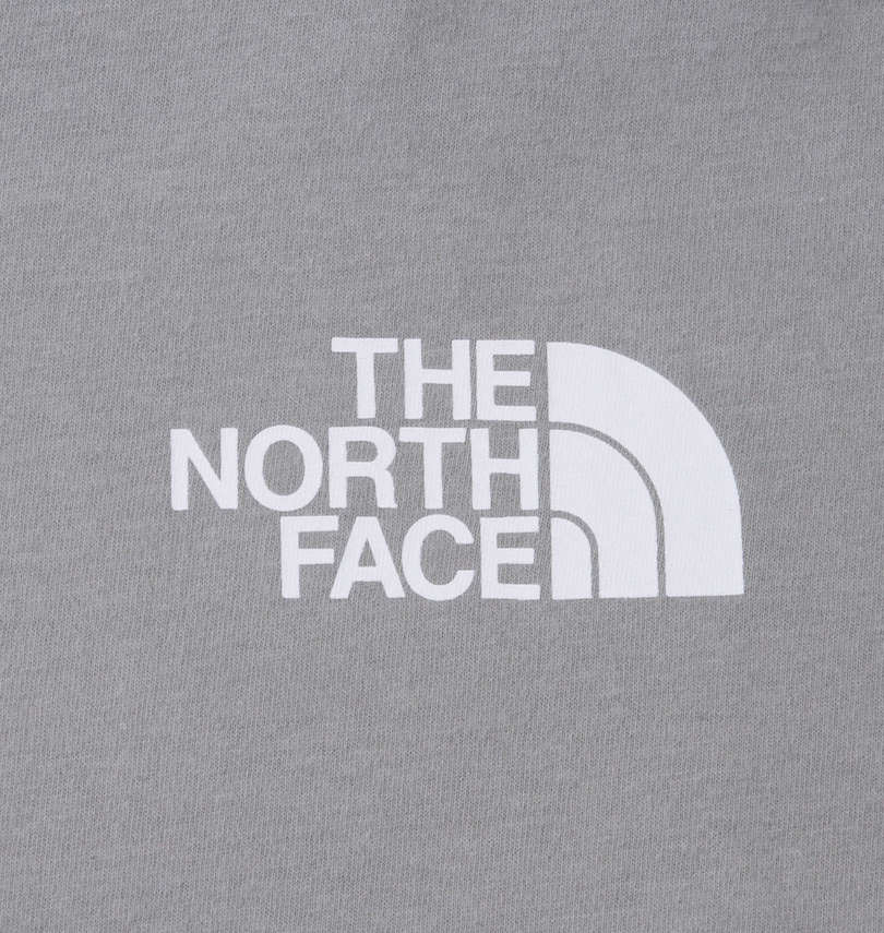 大きいサイズ メンズ THE NORTH FACE (ザ・ノース・フェイス) 長袖Tシャツ フロントプリント