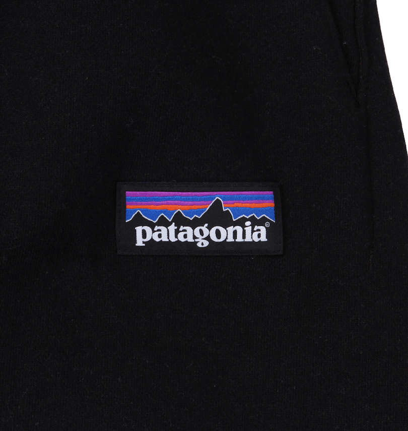 大きいサイズ メンズ PATAGONIA (パタゴニア) スウェットパンツ ワッペン