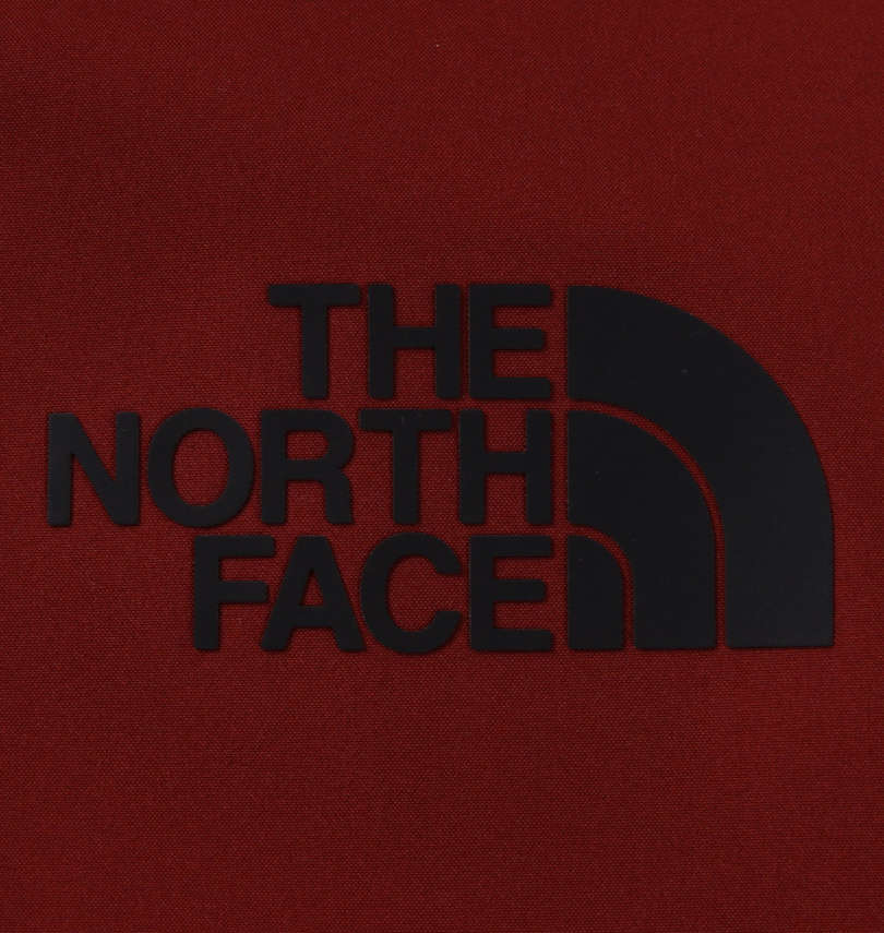 大きいサイズ メンズ THE NORTH FACE (ザ・ノース・フェイス) トリクラメイト 3WAYジャケット プリント拡大
