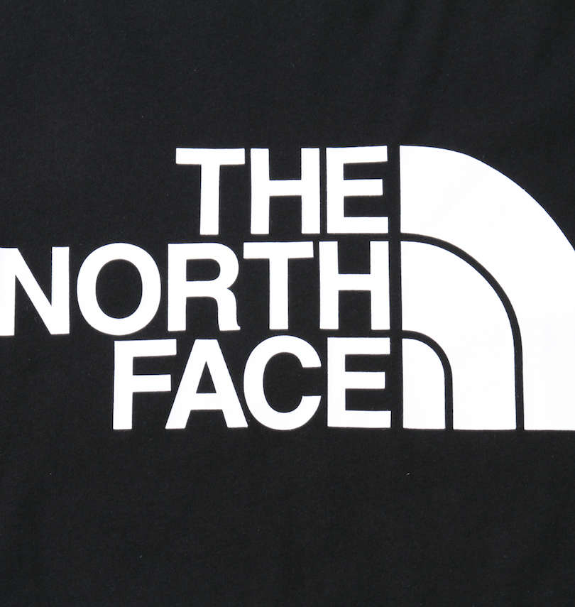 大きいサイズ メンズ THE NORTH FACE (ザ・ノース・フェイス) 半袖Tシャツ フロントプリント
