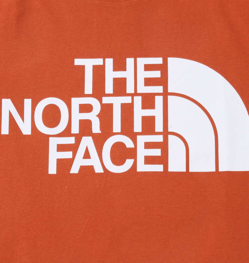 大きいサイズ メンズ THE NORTH FACE (ザ・ノース・フェイス) Tシャツ プリント拡大
