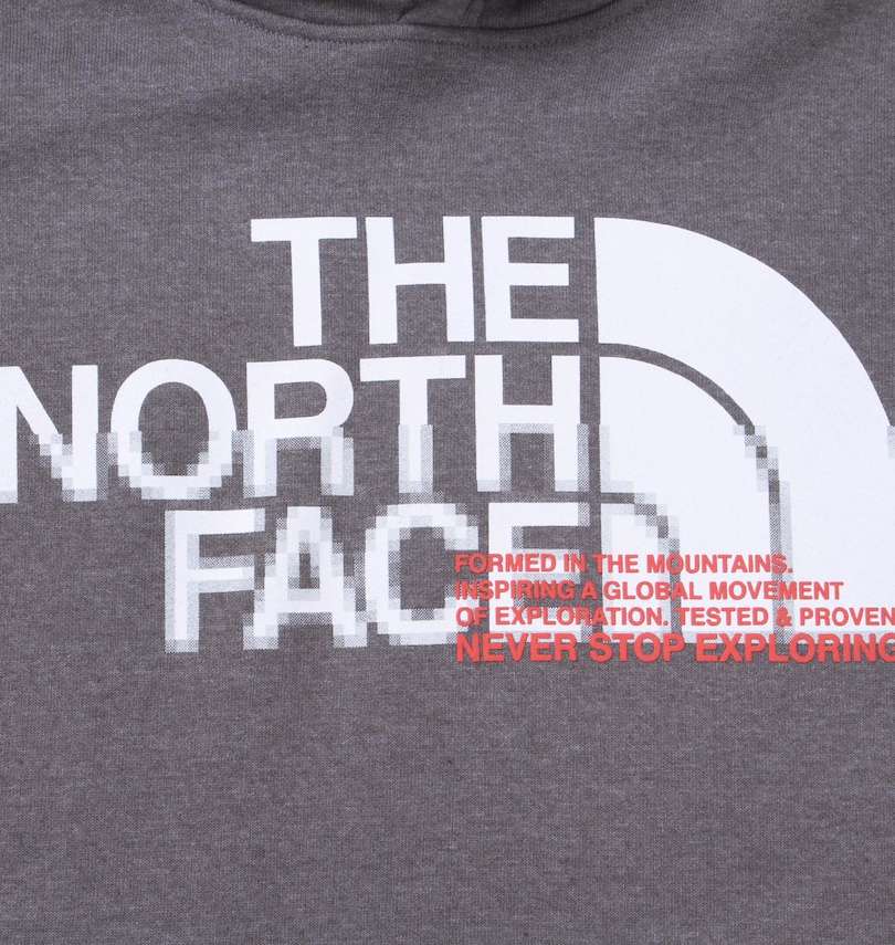 大きいサイズ メンズ THE NORTH FACE (ザ・ノース・フェイス) プルパーカー プリント拡大