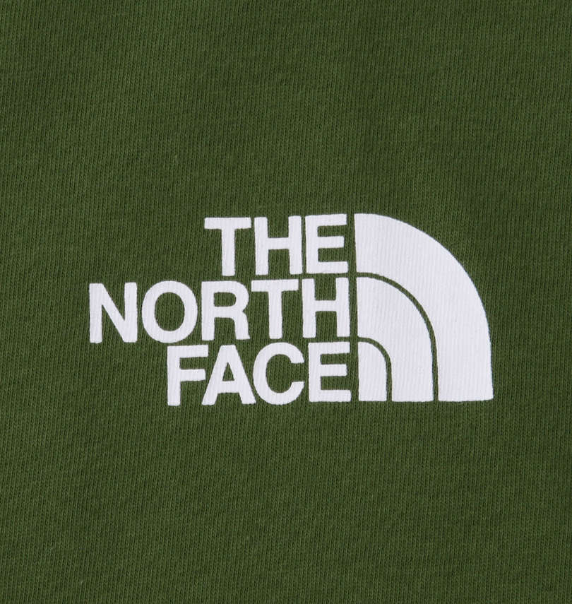 大きいサイズ メンズ THE NORTH FACE (ザ・ノース・フェイス) 半袖Tシャツ 左胸プリント
