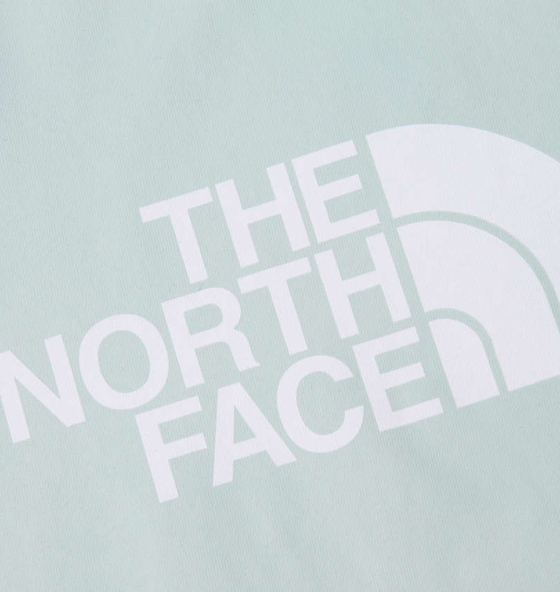 大きいサイズ メンズ THE NORTH FACE (ザ・ノース・フェイス) 長袖Tシャツ バックプリント拡大