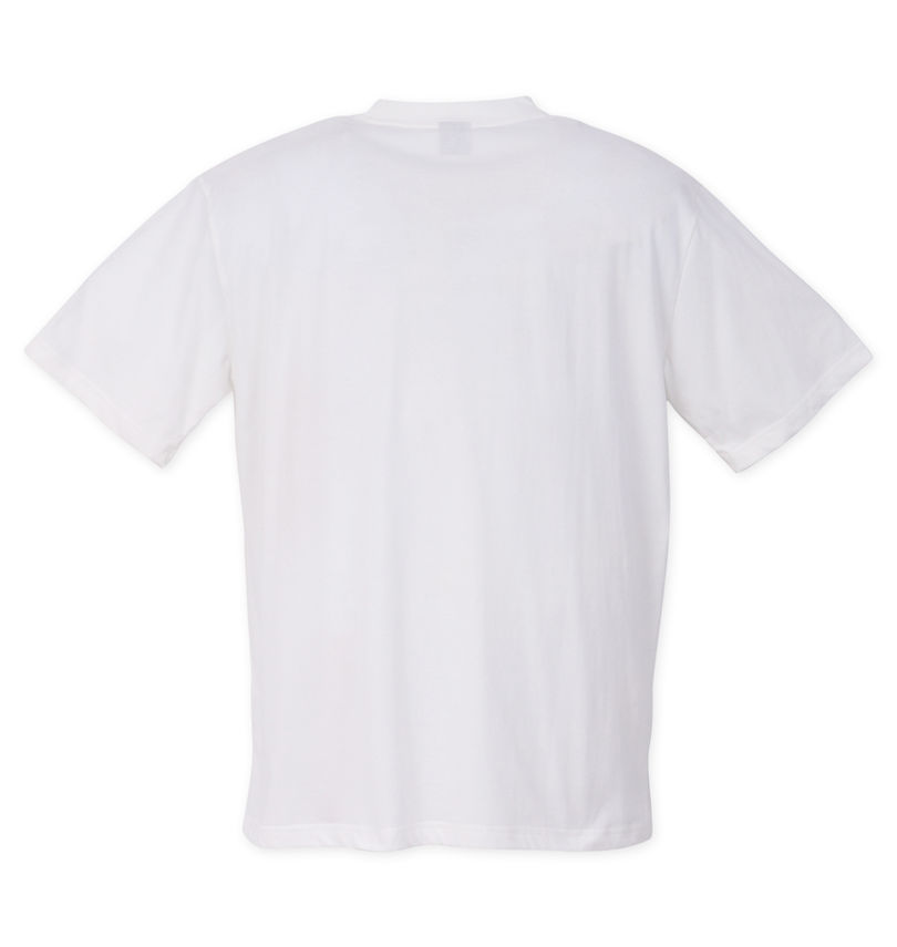大きいサイズ メンズ LOGOS Park (ロゴスパーク) リサイクル天竺ボックスプリント半袖Tシャツ
バックスタイル