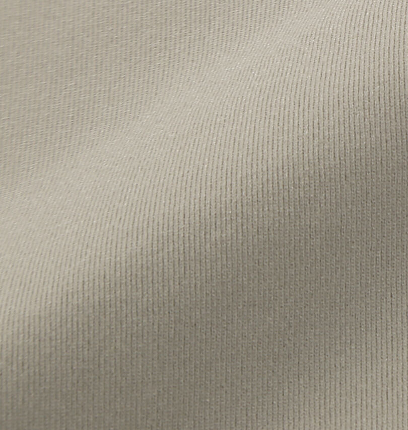 大きいサイズ メンズ RUSTY (ラスティ) PEARTEX吸汗速乾UV半袖Tシャツ
生地拡大