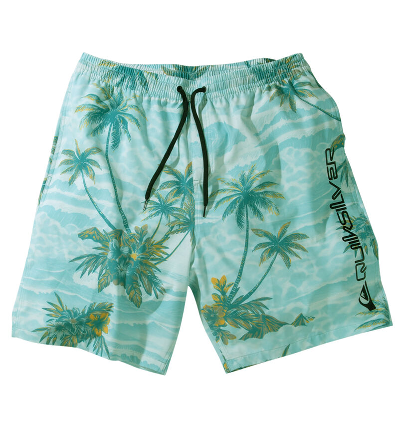 大きいサイズ メンズ Quiksilver (クイックシルバー) SUNDOWN VOLLEY 20NS水陸両用ショーツ
                        
