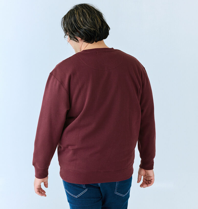 大きいサイズ メンズ POLO BCS (ポロビーシーエス) 裏起毛ロゴクルートレーナー