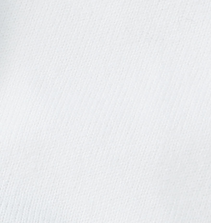 大きいサイズ メンズ FLAGSTAFF×PEANUTS (フラッグスタッフ) スヌーピーコラボ半袖Tシャツ
                        生地拡大