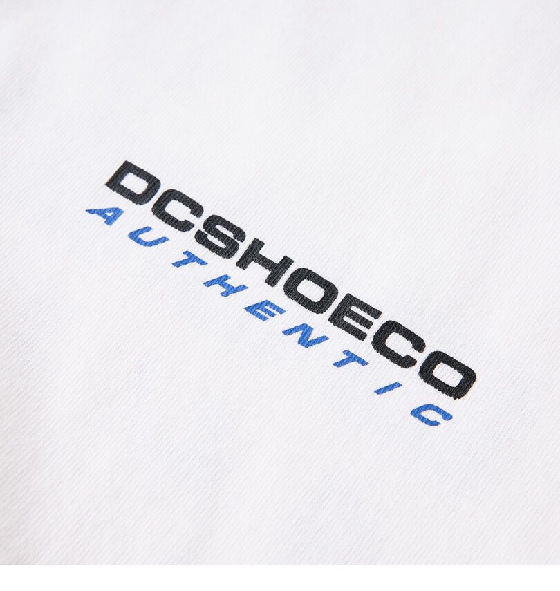大きいサイズ メンズ DCSHOES (ディーシーシューズ) DCSHOES LOGO長袖Tシャツ
                        プリント
