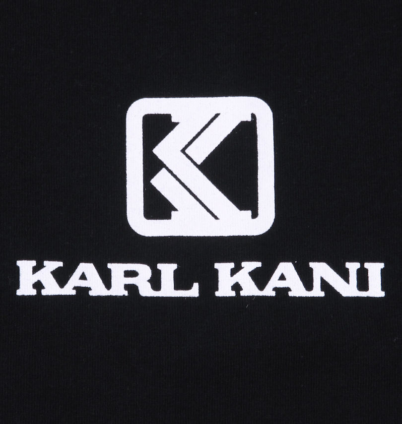 大きいサイズ メンズ KARL KANI (カール カナイ) 天竺長袖Tシャツ 胸プリント