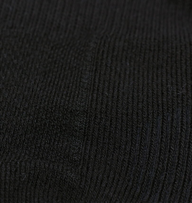 大きいサイズ メンズ Phiten (ファイテン) 2Pセミロングスポーツソックス
                        生地拡大