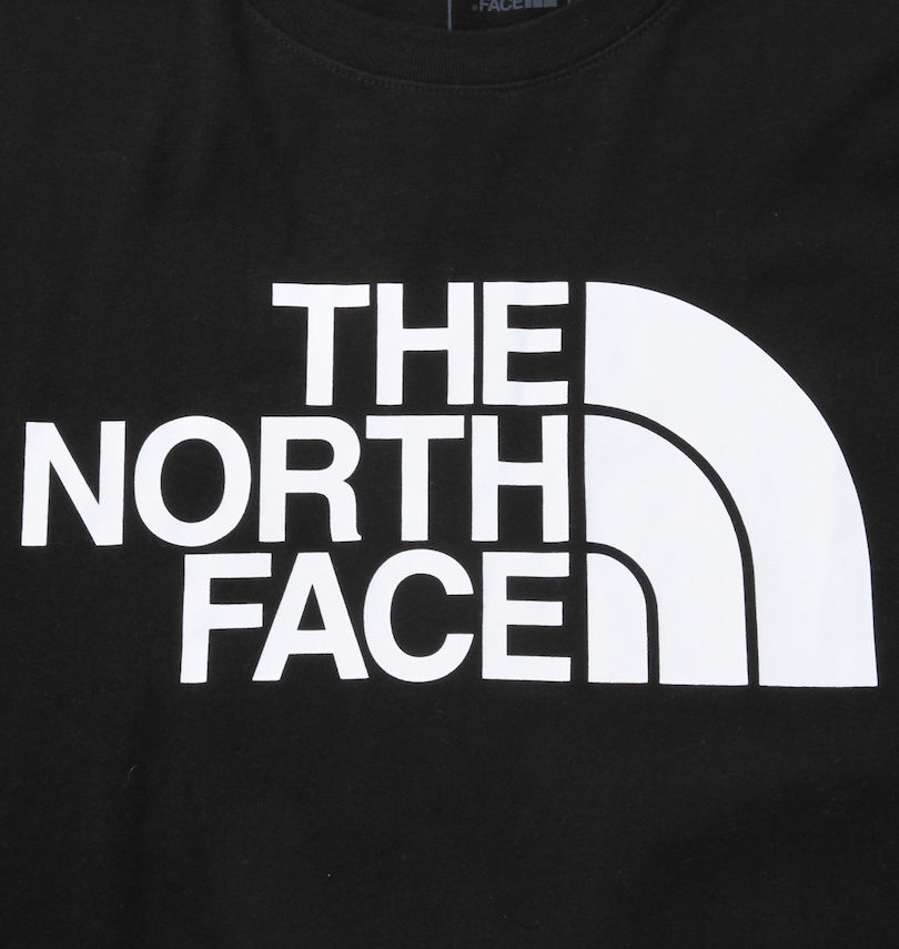 大きいサイズ メンズ THE NORTH FACE (ザ・ノース・フェイス) 半袖Tシャツ 
