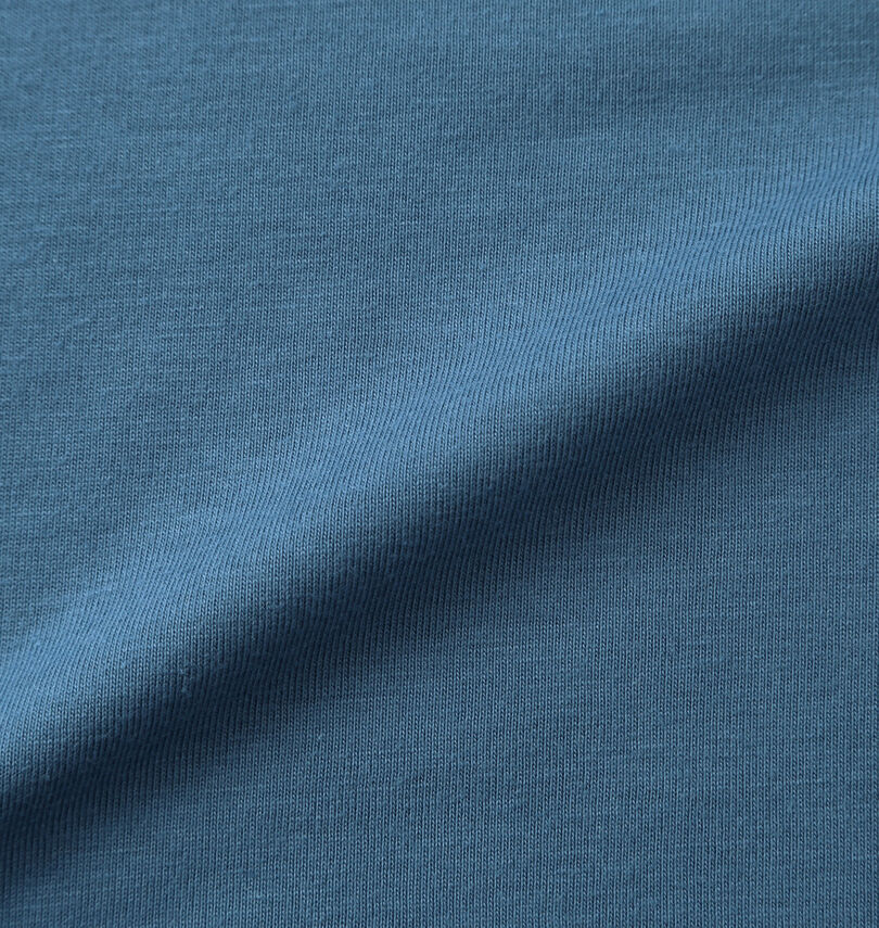 大きいサイズ メンズ POLO BCS (ポロビーシーエス) 天竺POLOロゴ半袖Tシャツ
生地拡大
