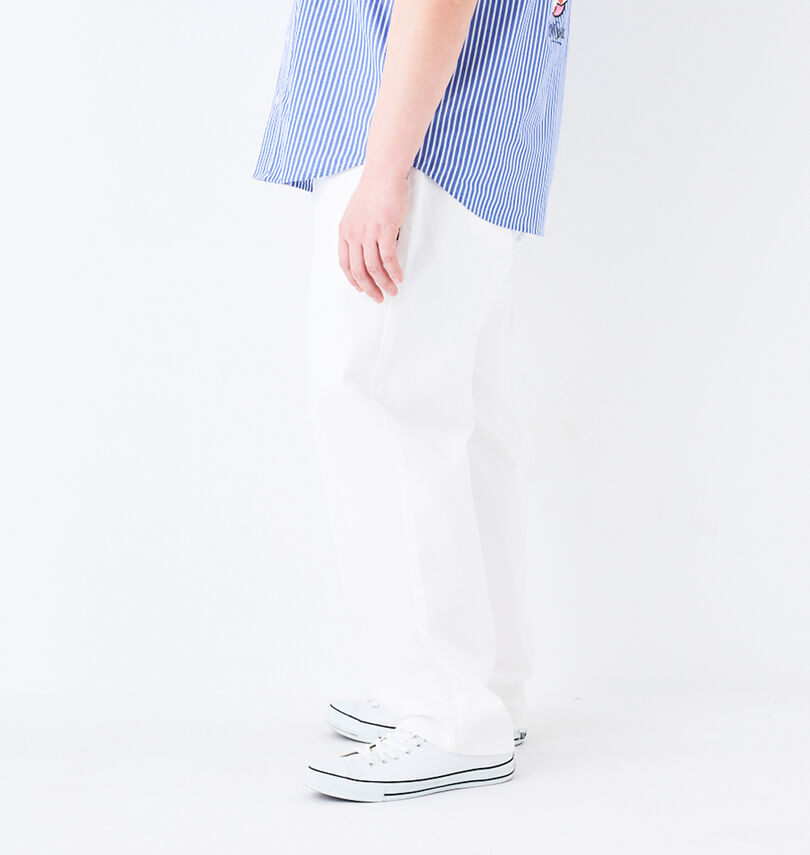 大きいサイズ メンズ DCSHOES (ディーシーシューズ) 24 WIDEパンツ
                        