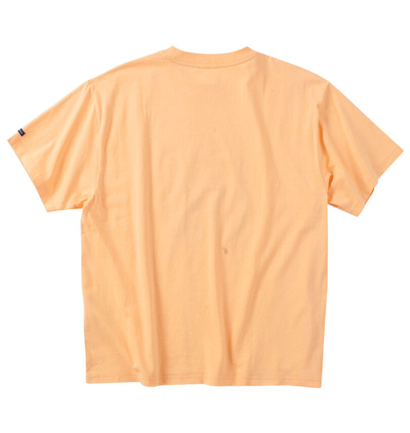 大きいサイズ メンズ VOLKSWAGEN (フォルクスワーゲン) 天竺半袖Tシャツ
                        バックスタイル