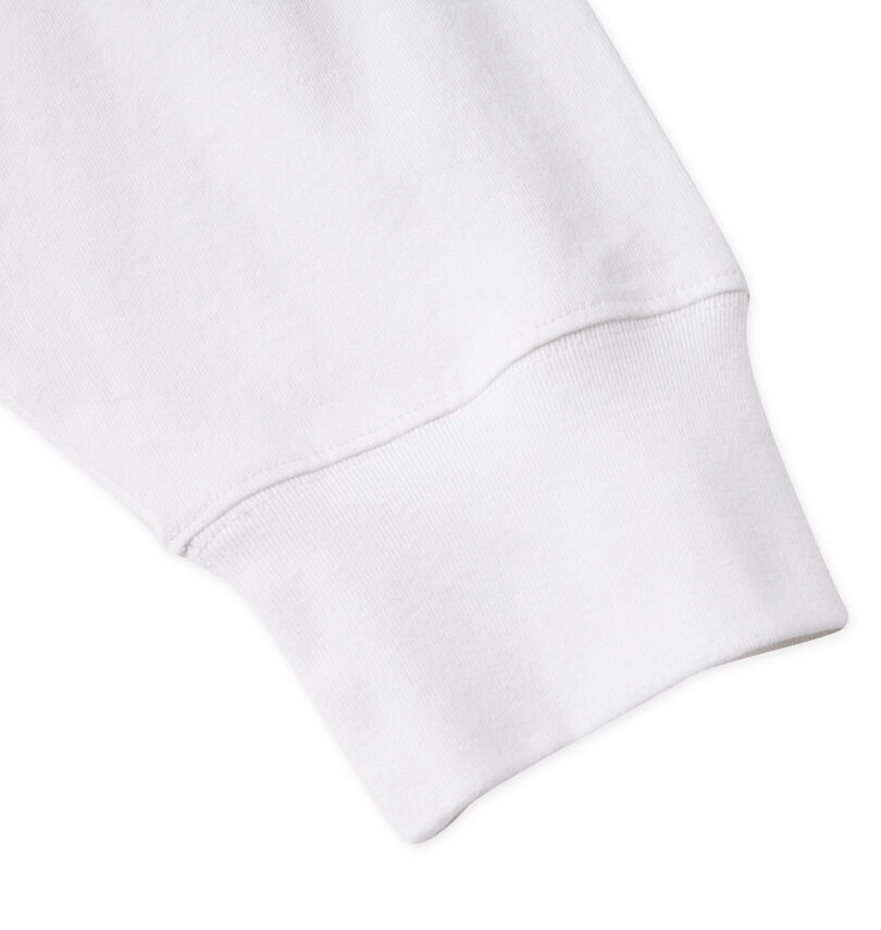 大きいサイズ メンズ DCSHOES (ディーシーシューズ) DCSHOES LOGO長袖Tシャツ
                        袖口