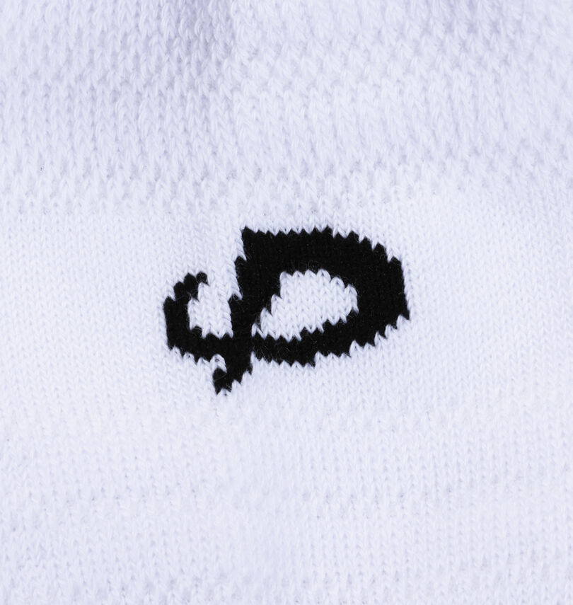 大きいサイズ メンズ Phiten (ファイテン) 2Pアンクルスポーツソックス
                        