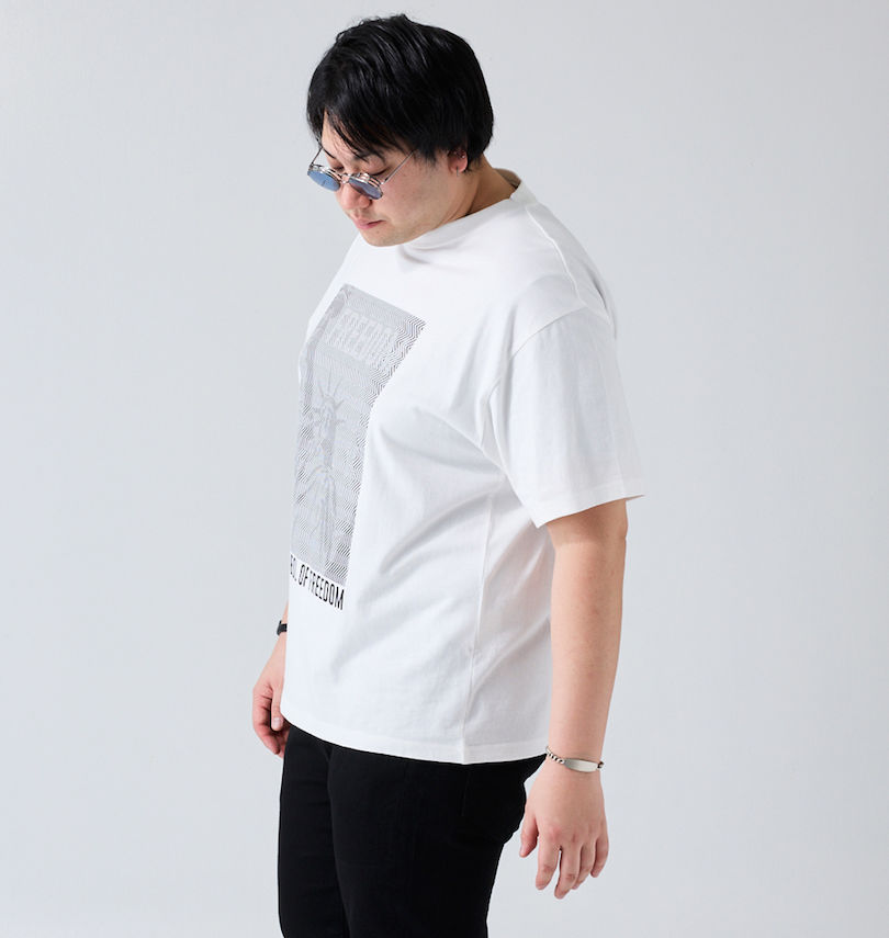 大きいサイズ メンズ RIMASTER VISION (リマスター ビジョン) 天竺トリックアート半袖Tシャツ 