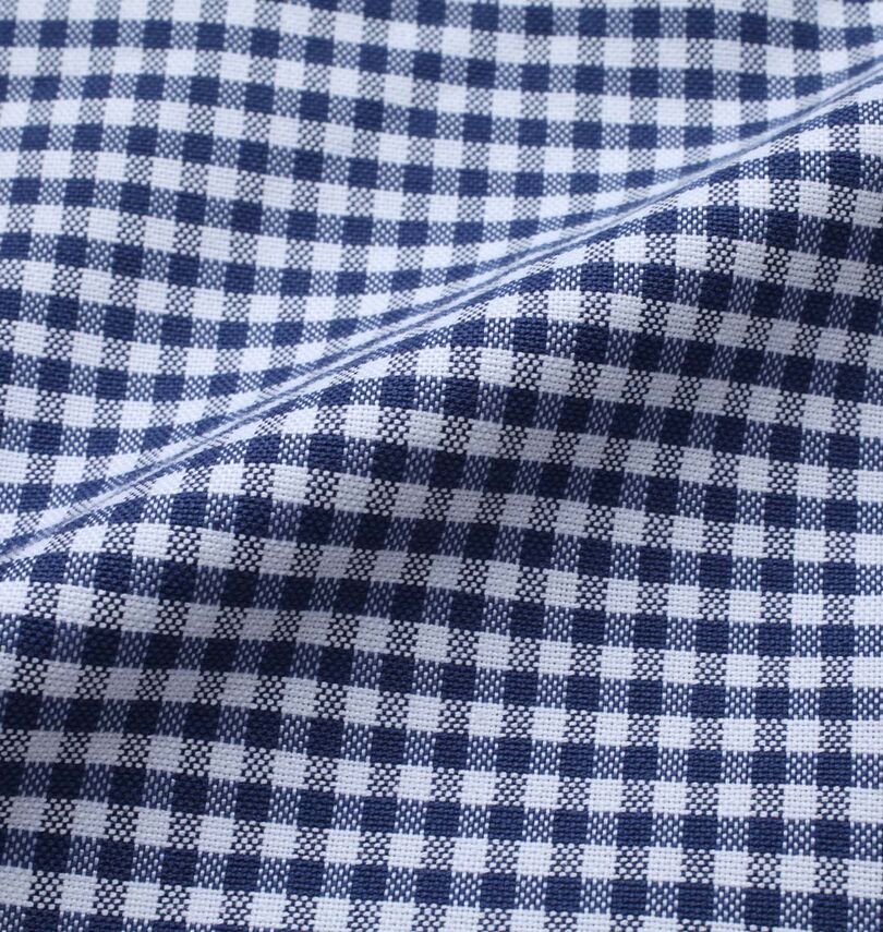 大きいサイズ メンズ Mc.S.P (エムシーエスピー) オックスB.D長袖シャツ
                        生地拡大