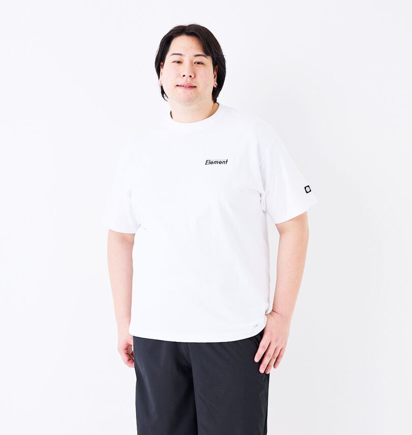 大きいサイズ メンズ ELEMENT (エレメント) AGE OF半袖Tシャツ