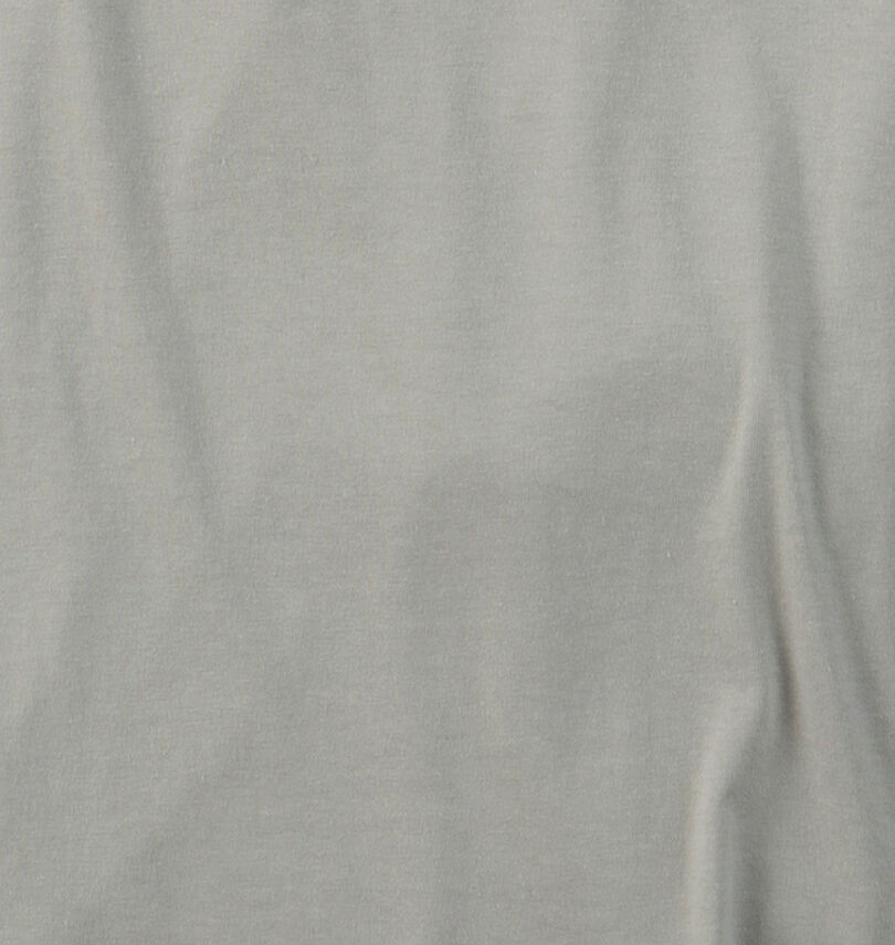 大きいサイズ メンズ VOLKSWAGEN (フォルクスワーゲン) 天竺半袖Tシャツ
生地拡大