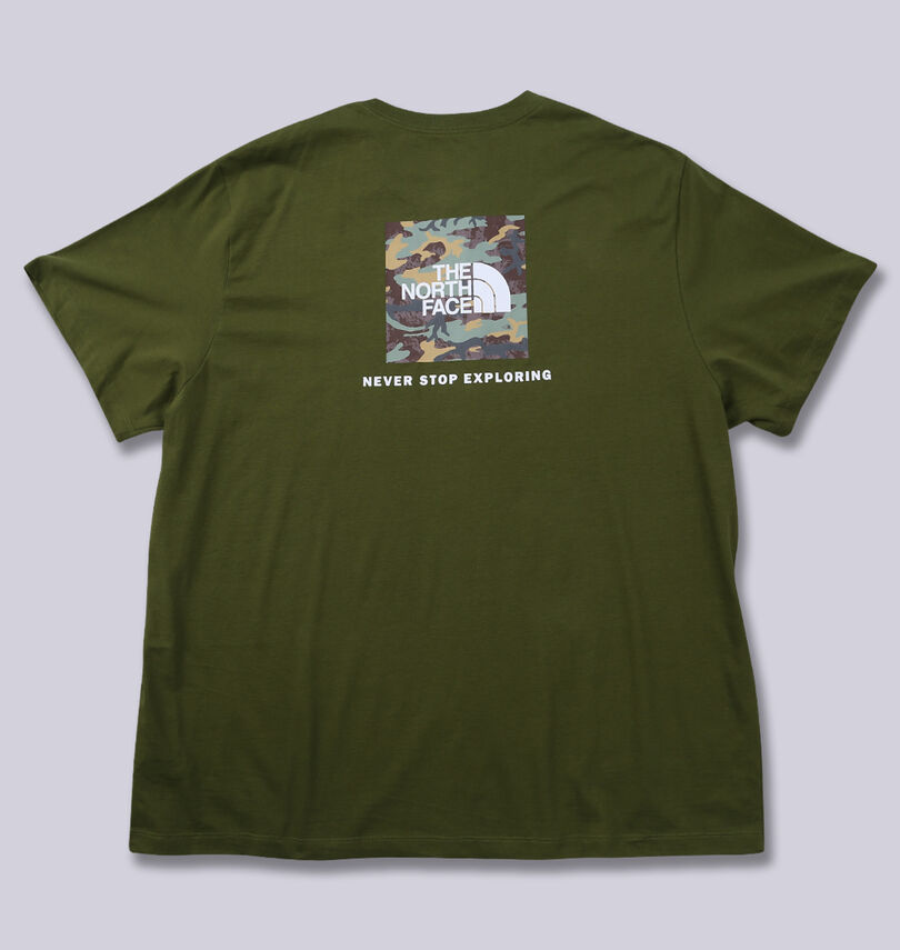大きいサイズ メンズ THE NORTH FACE (ザ・ノース・フェイス) 半袖Tシャツ
                        バックスタイル