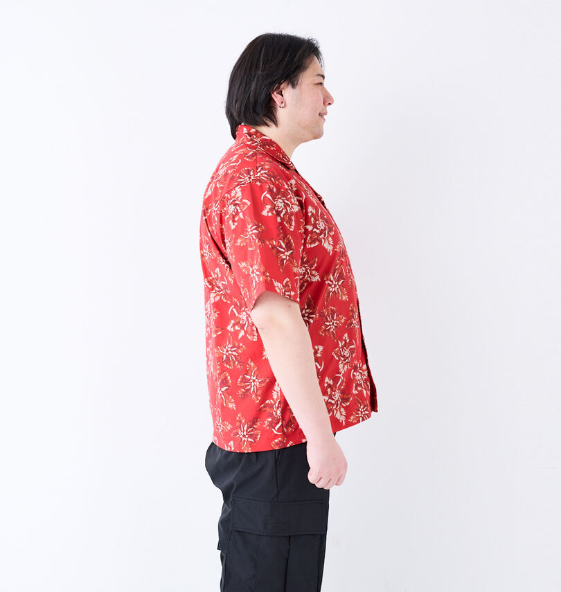 大きいサイズ メンズ NESTA BRAND (ネスタブランド) ボタニカル柄オープンカラー半袖シャツ