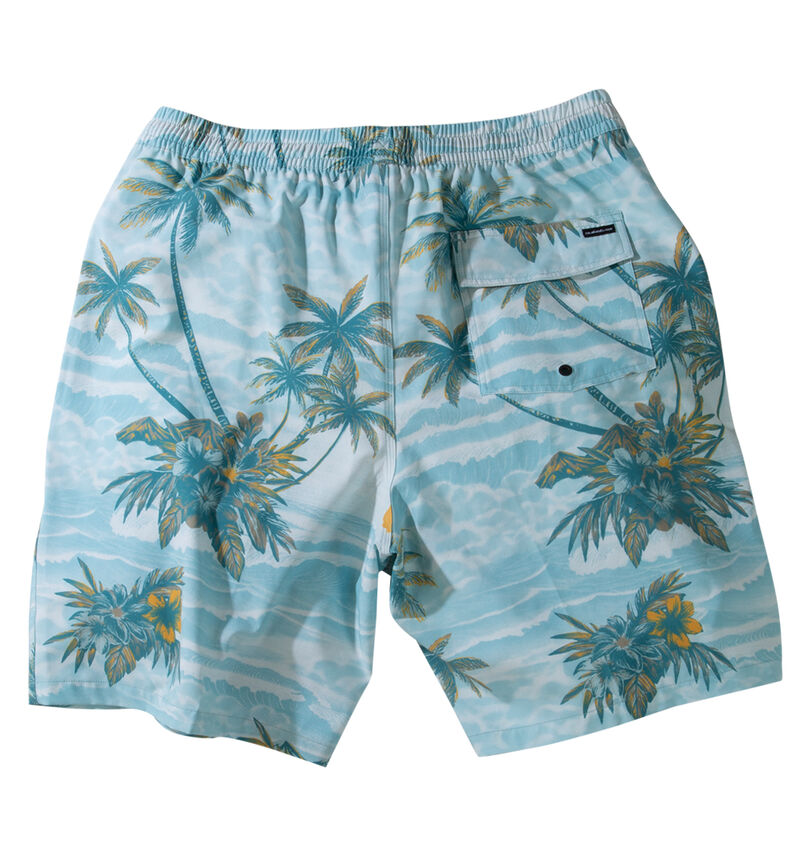 大きいサイズ メンズ Quiksilver (クイックシルバー) SUNDOWN VOLLEY 20NS水陸両用ショーツ
                        バックスタイル