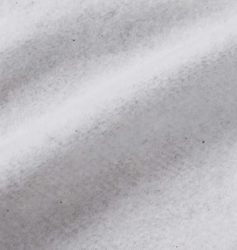 大きいサイズ メンズ OCEAN PACIFIC (オーシャンパシフィック) 裏起毛クルーネックスウェット
                        裏起毛