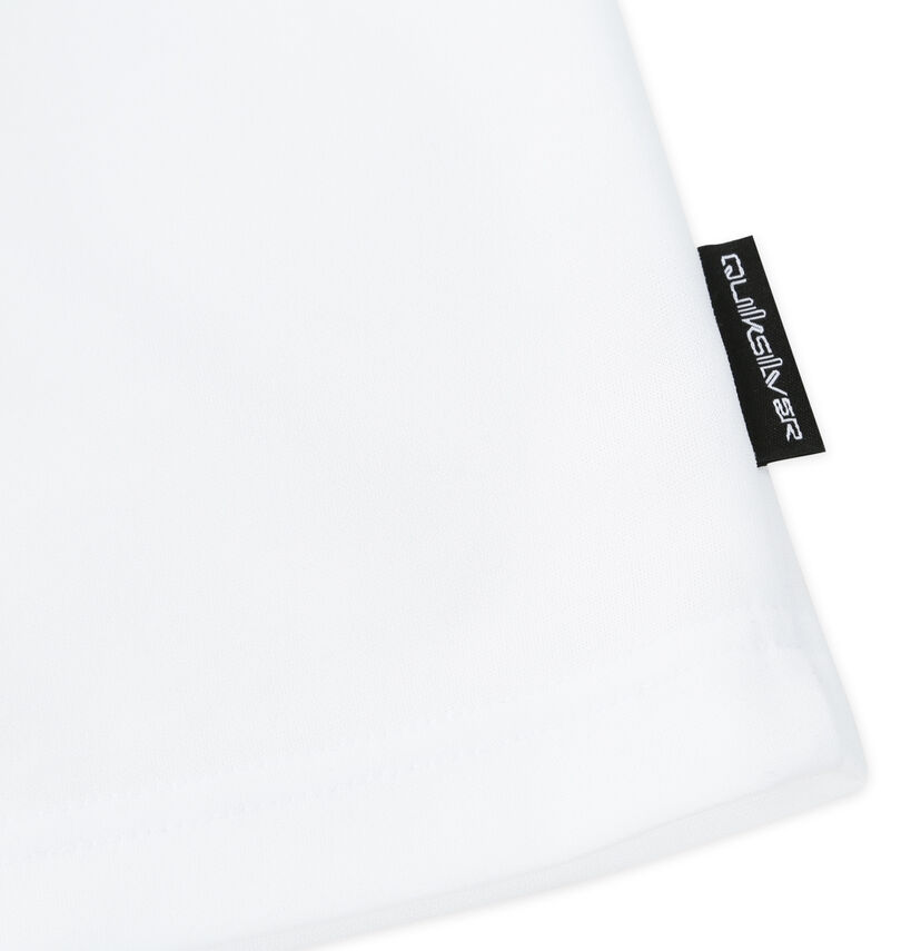 大きいサイズ メンズ Quiksilver (クイックシルバー) COMP LOGO半袖ラッシュガードTシャツ
                        ピスネーム