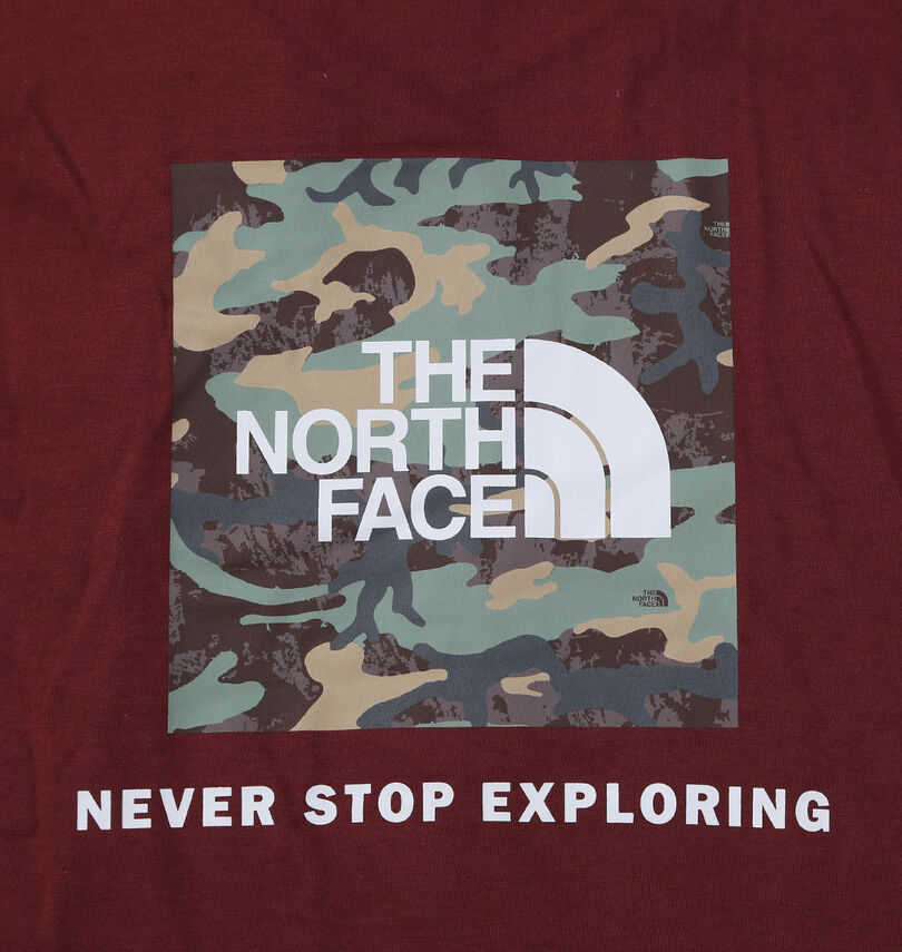 大きいサイズ メンズ THE NORTH FACE (ザ・ノース・フェイス) 半袖Tシャツ
プリント