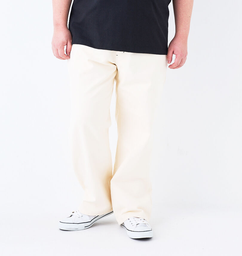 大きいサイズ メンズ BEN DAVIS (ベン デイビス) エンブロイダリーペインターパンツ
                        身長：176.5cm/ウエスト：115cm/着用サイズ：3L