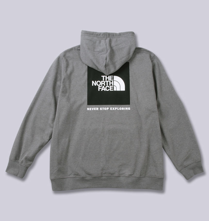 大きいサイズ メンズ THE NORTH FACE (ザ・ノース・フェイス) プルパーカー
バックスタイル